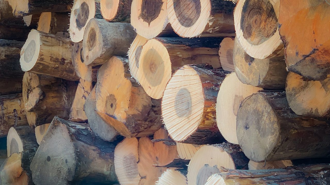 Stacked timber logs